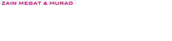 ZMM